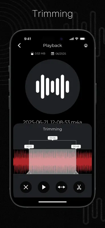 Audio Recorder Pro & Playback screenshot 5 of 10