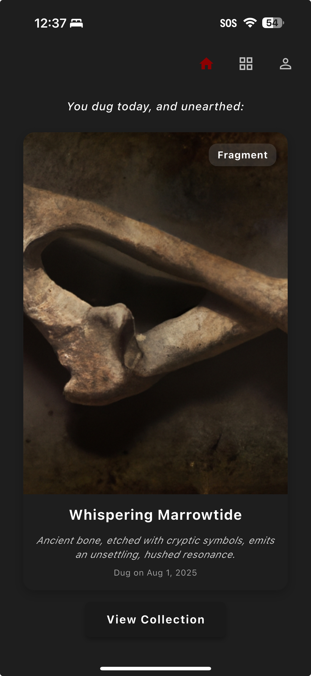 Bone Collector