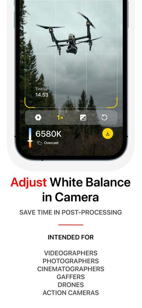 White Balance Meter AI - KEV screenshot 5