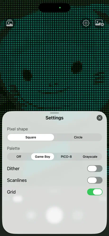 pixelizer 像素相机应用截图