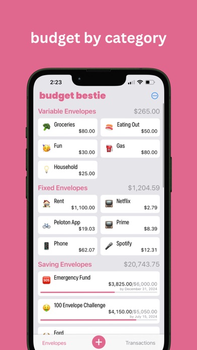 Budget Bestie Screenshot