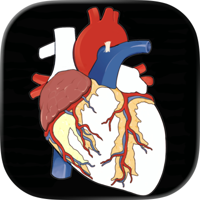 Anatomy Puzzles 解剖拼图 图标