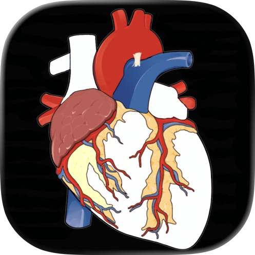 Anatomy Puzzles - 本体限免
