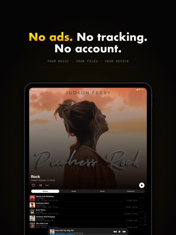 BTR AMP Advanced Music Player iPad screenshot