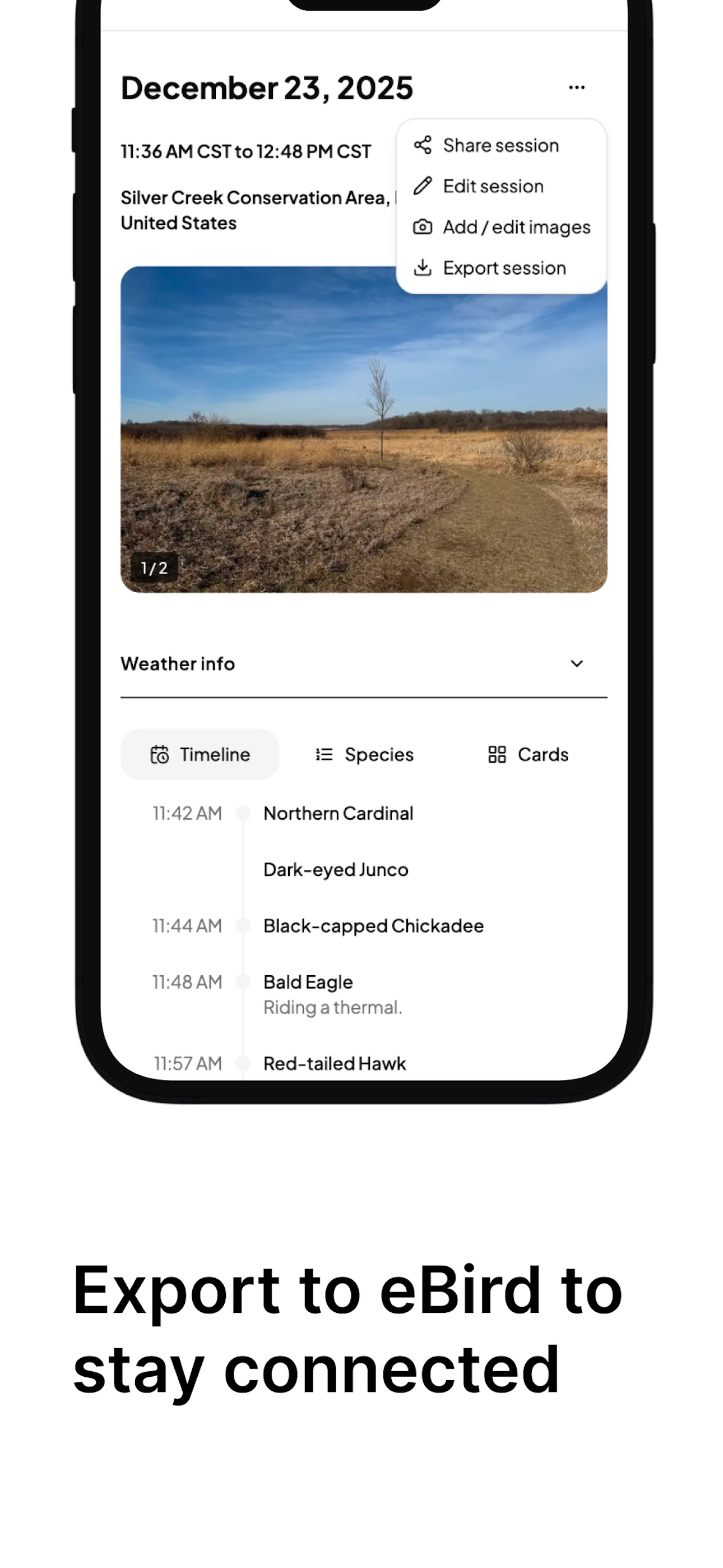 Feathers: Birding Field Notes