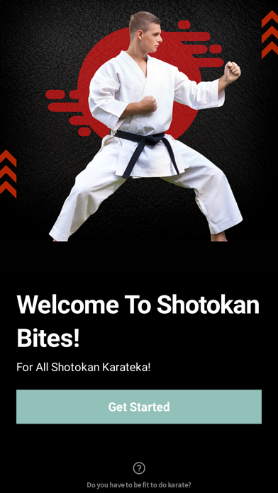 Shotokan Bites Screenshot