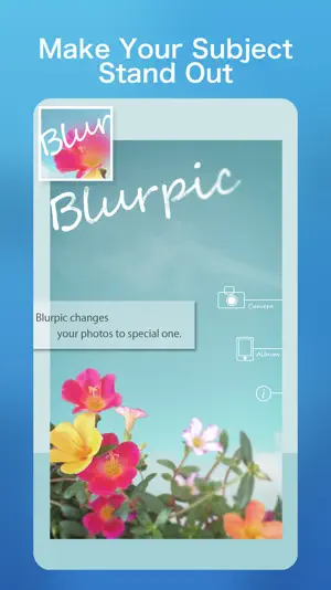 Blurpic - for your memory - screenshot 1