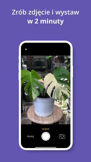 Allegro Lokalnie screenshot 4