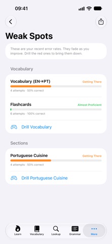 European Portuguese Reference screenshot 9
