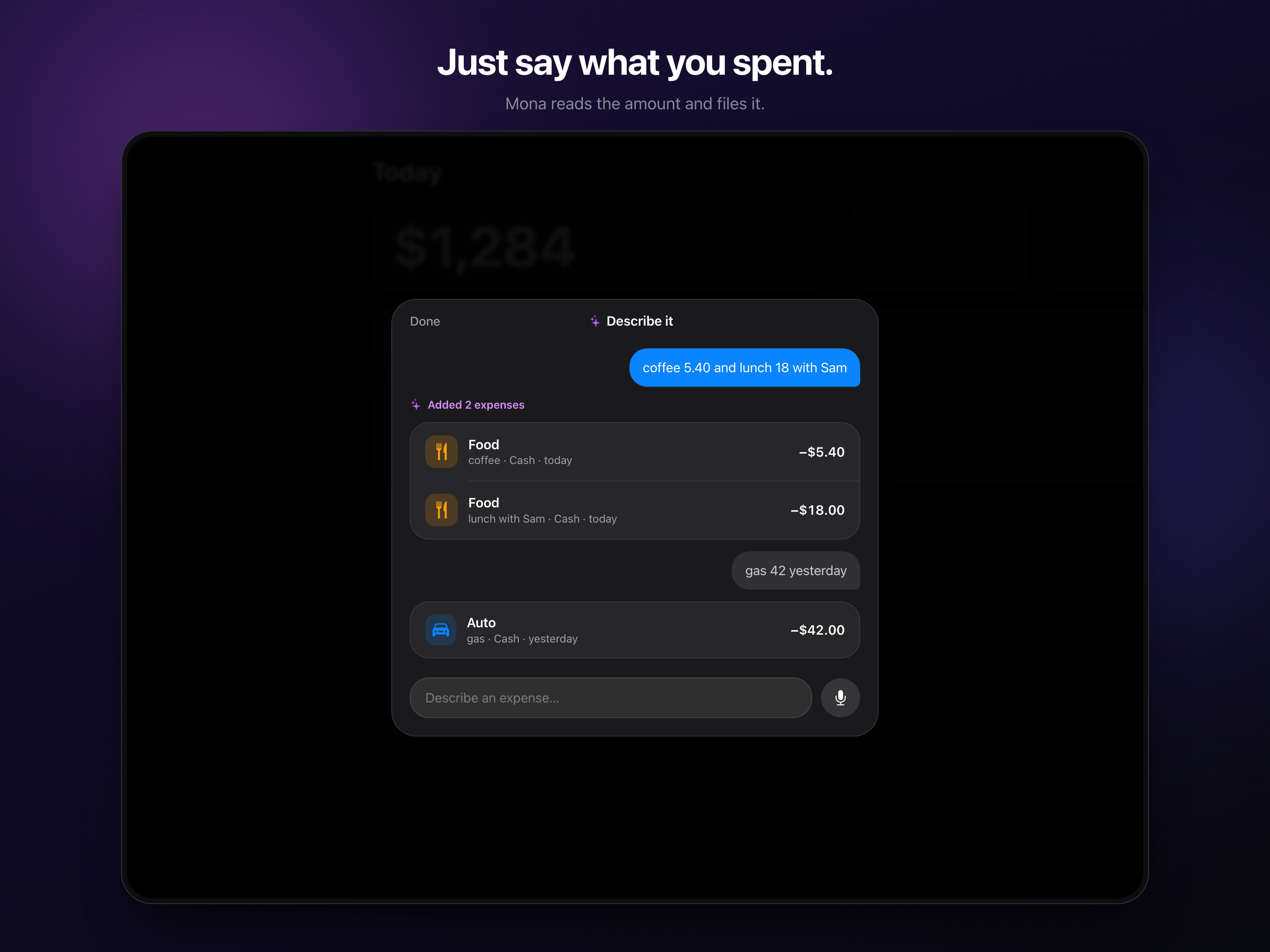Mona: Budget & Expense Tracker screenshot 8
