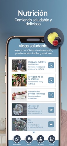 AMP-AUDITORÍA MÉDICA PREPAGADA screenshot