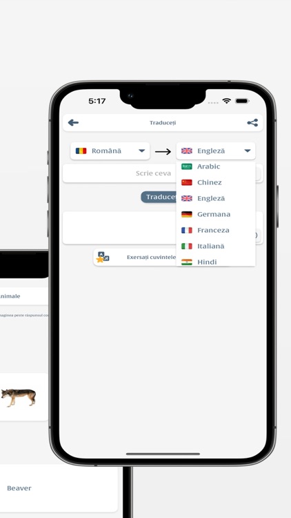 Învaţă Engleză screenshot-7