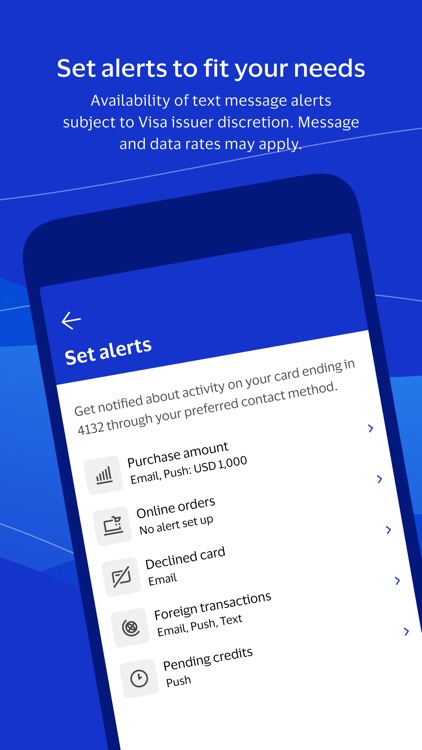 Visa Purchase Alerts