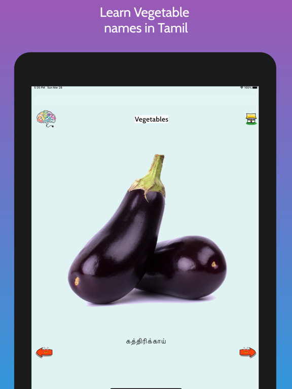 Learn Tamil FlashCards iPad screenshot 4 - Education app