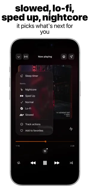 Vaure: Offline Music Player screenshot 2
