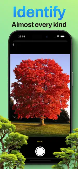 Groven: Tree Identifier screenshot 2
