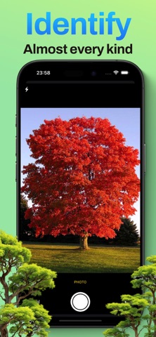 Groven: Tree Identifier Screenshot 2 of 6