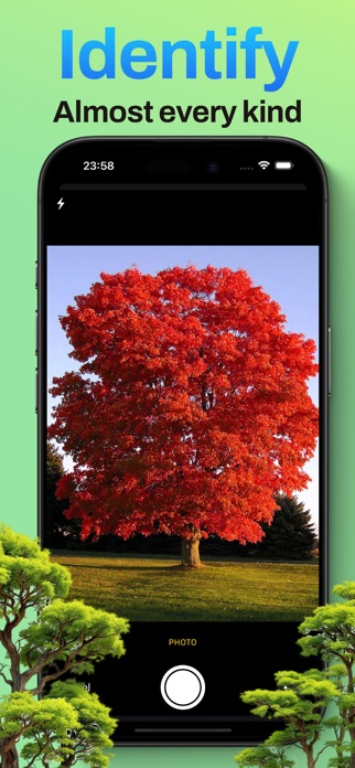 Groven: Tree Identifier Screenshot 2 of 6