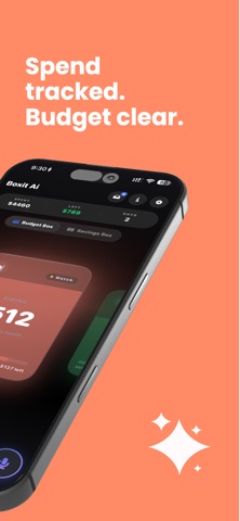 Ai Expense Tracker - Boxit Ai screenshot