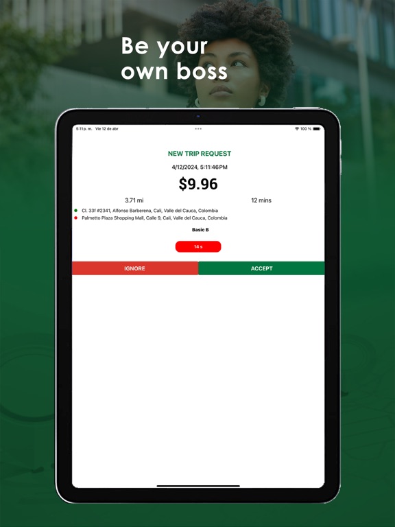 Nubeli Driver iPad screenshot 4 - Navigation app