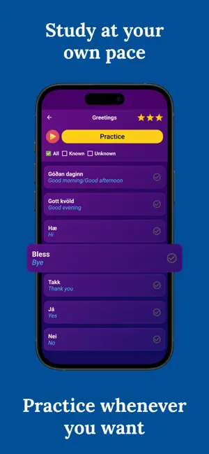Learn Icelandic (Beginners) screenshot 3