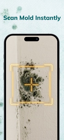 Mold Identifier: AI Inspector Screenshot 1 of 4