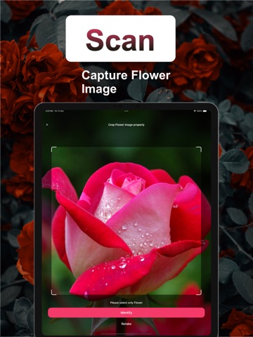 FlowerAI: Identify Flowers iPad screenshot