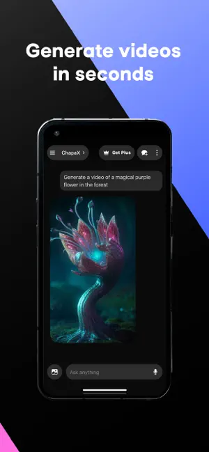 Chapax screenshot 4