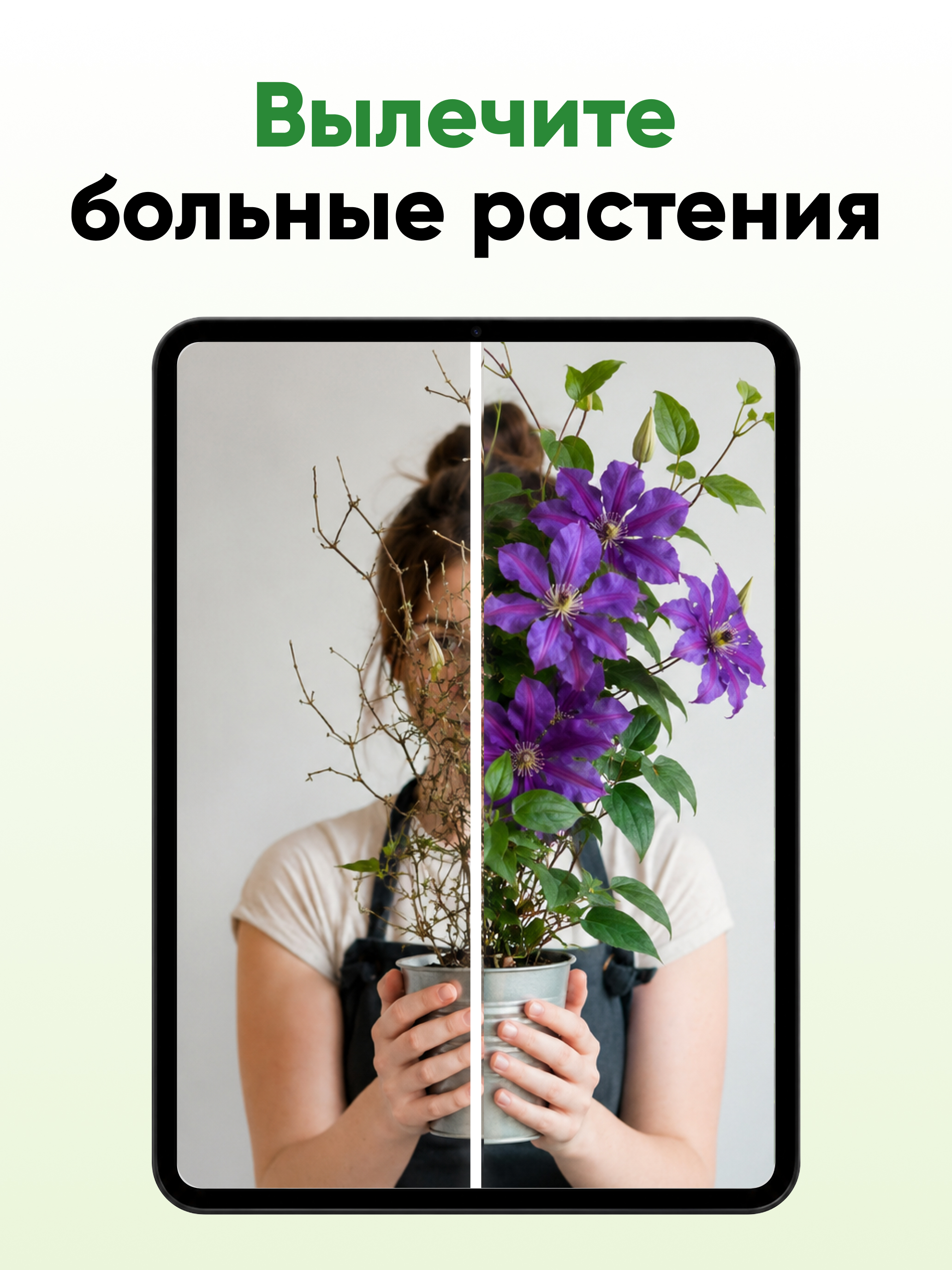 Дача без проблем