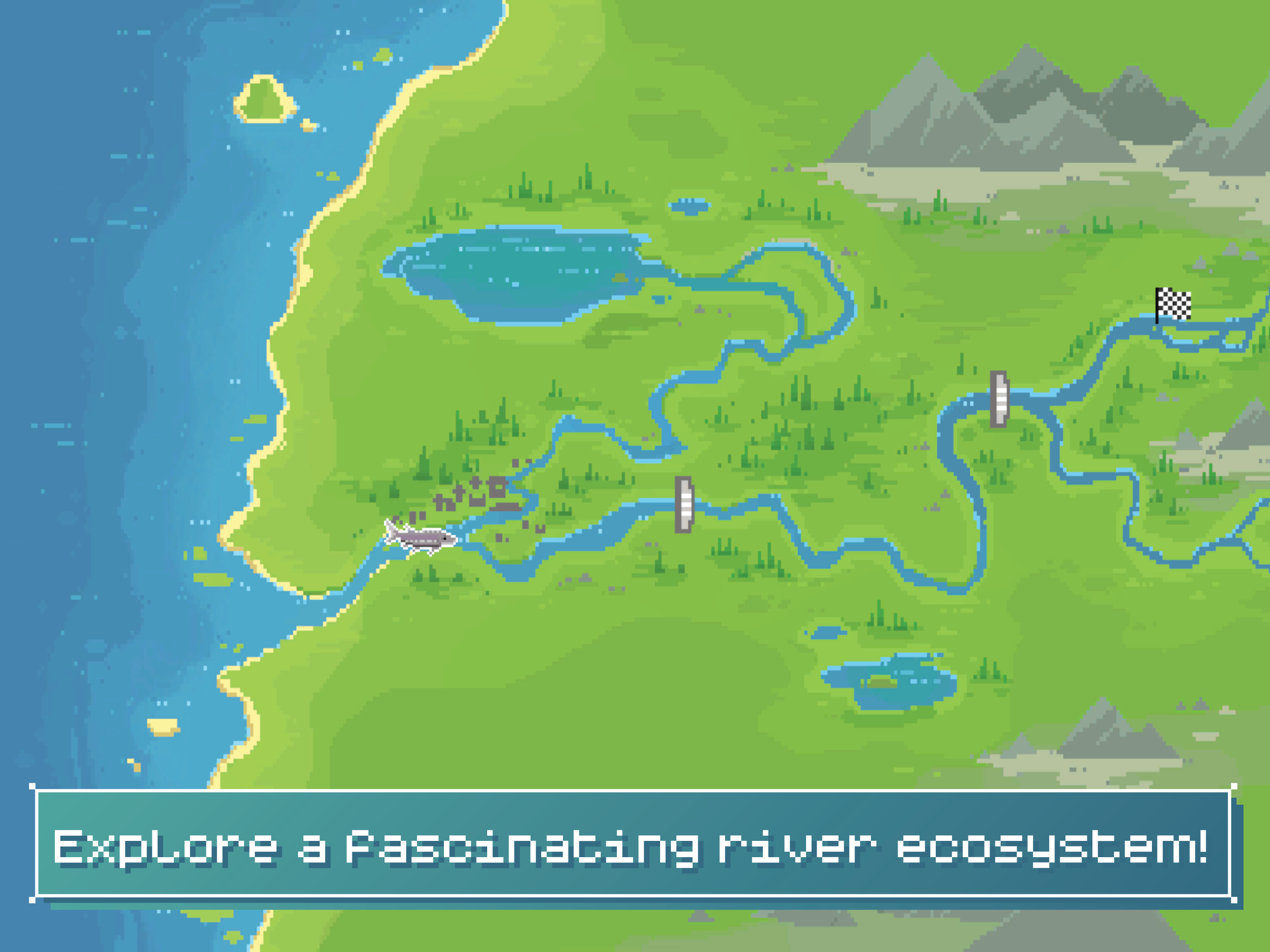 Fish Trails: Marine Adventure
