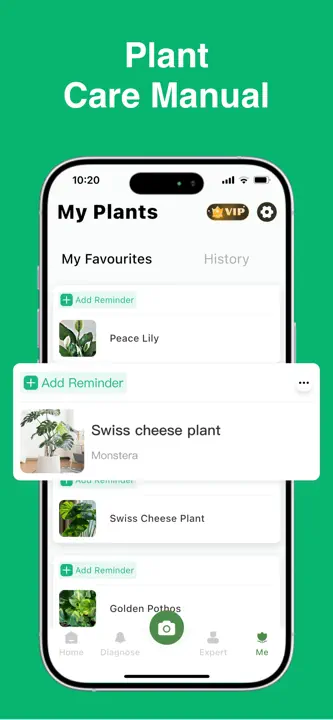 Plant Identifier: ChatPlant AI: Screenshot 4 von 8