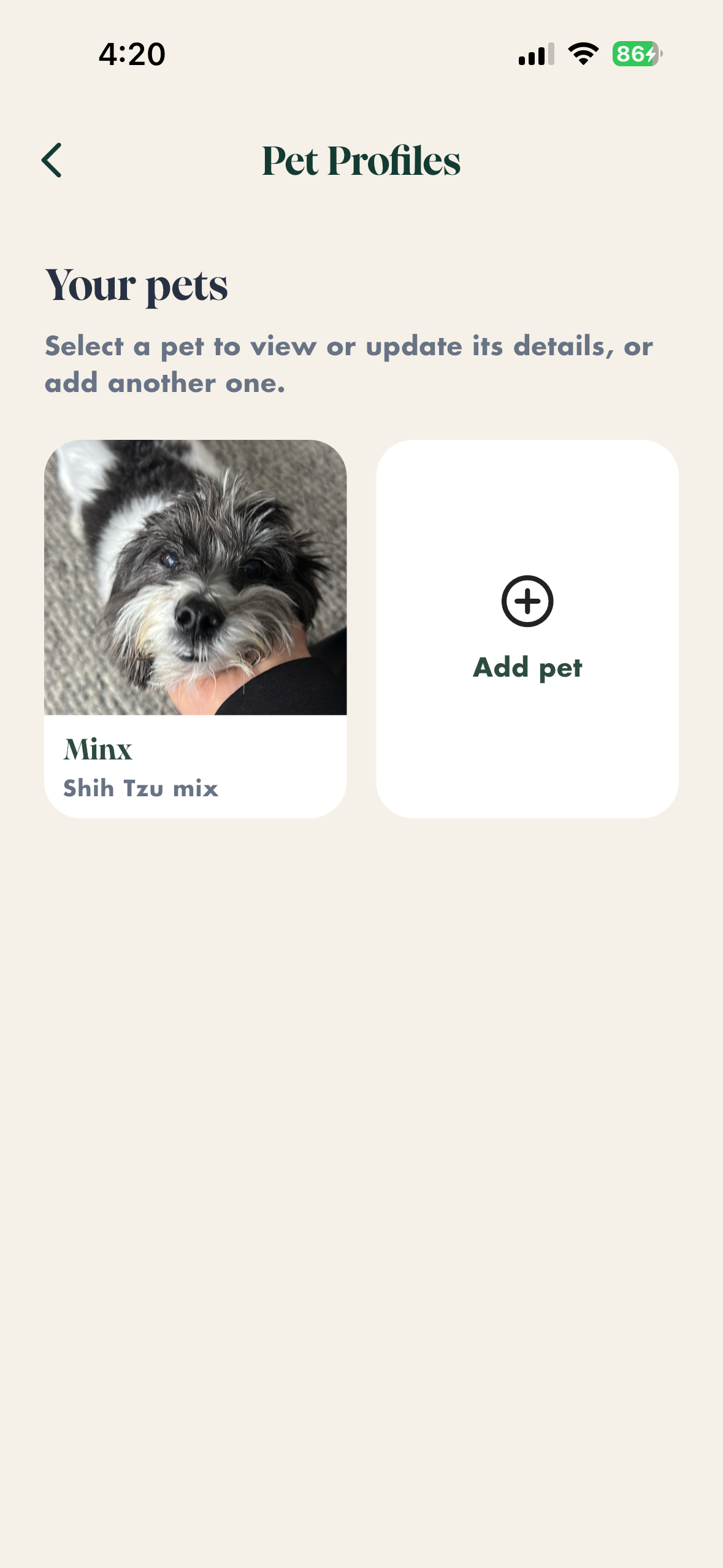 Dingla screenshot 7