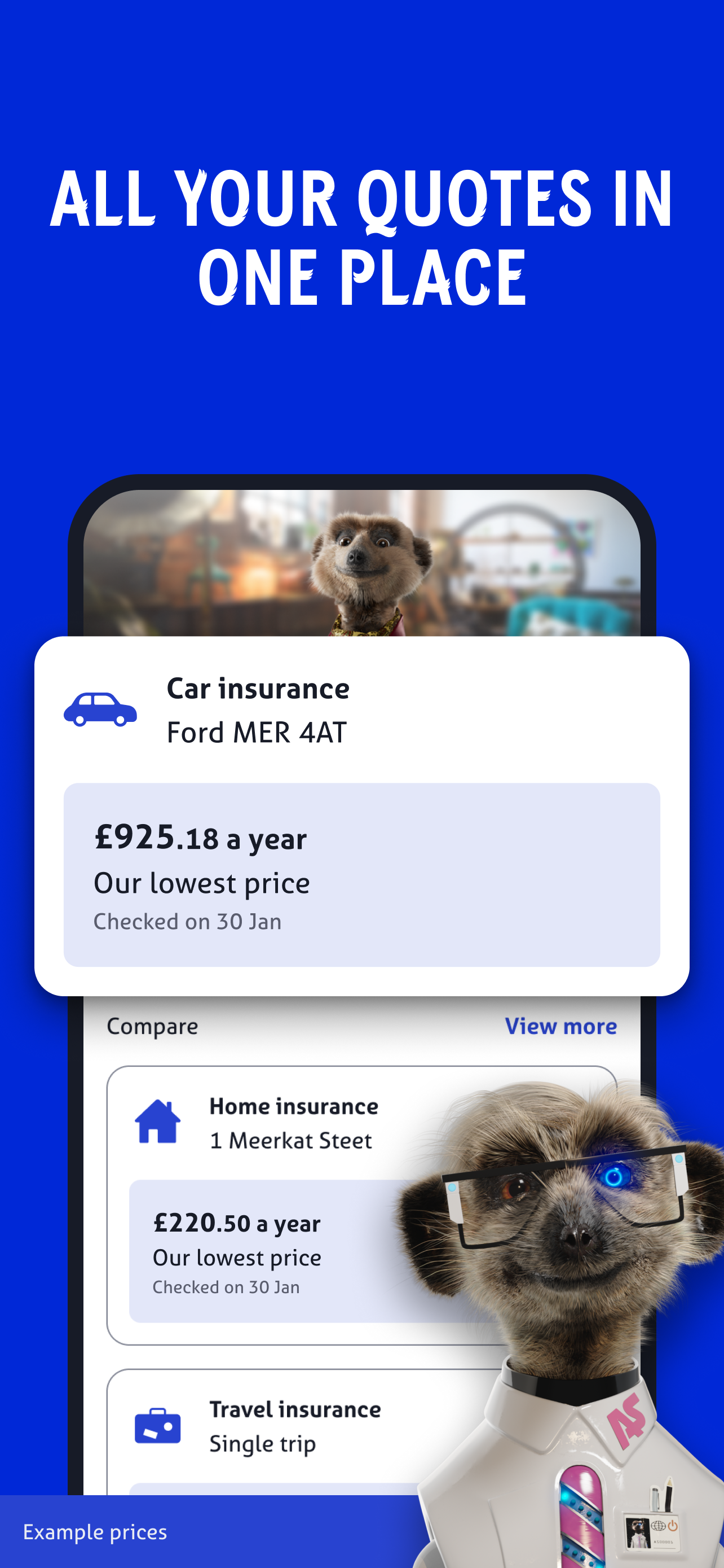 Compare the Market: Meerkat