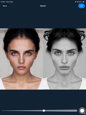 Face Symmetry:nobody's perfect iPad screenshot