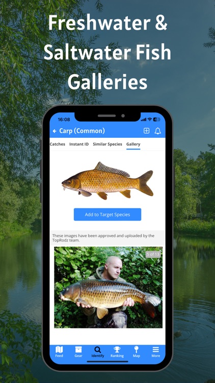 TopRodz screenshot-5