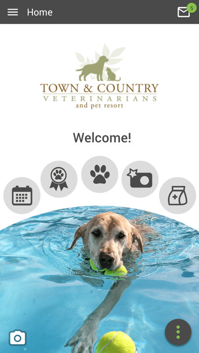 Town and Country Vet FL Screenshot