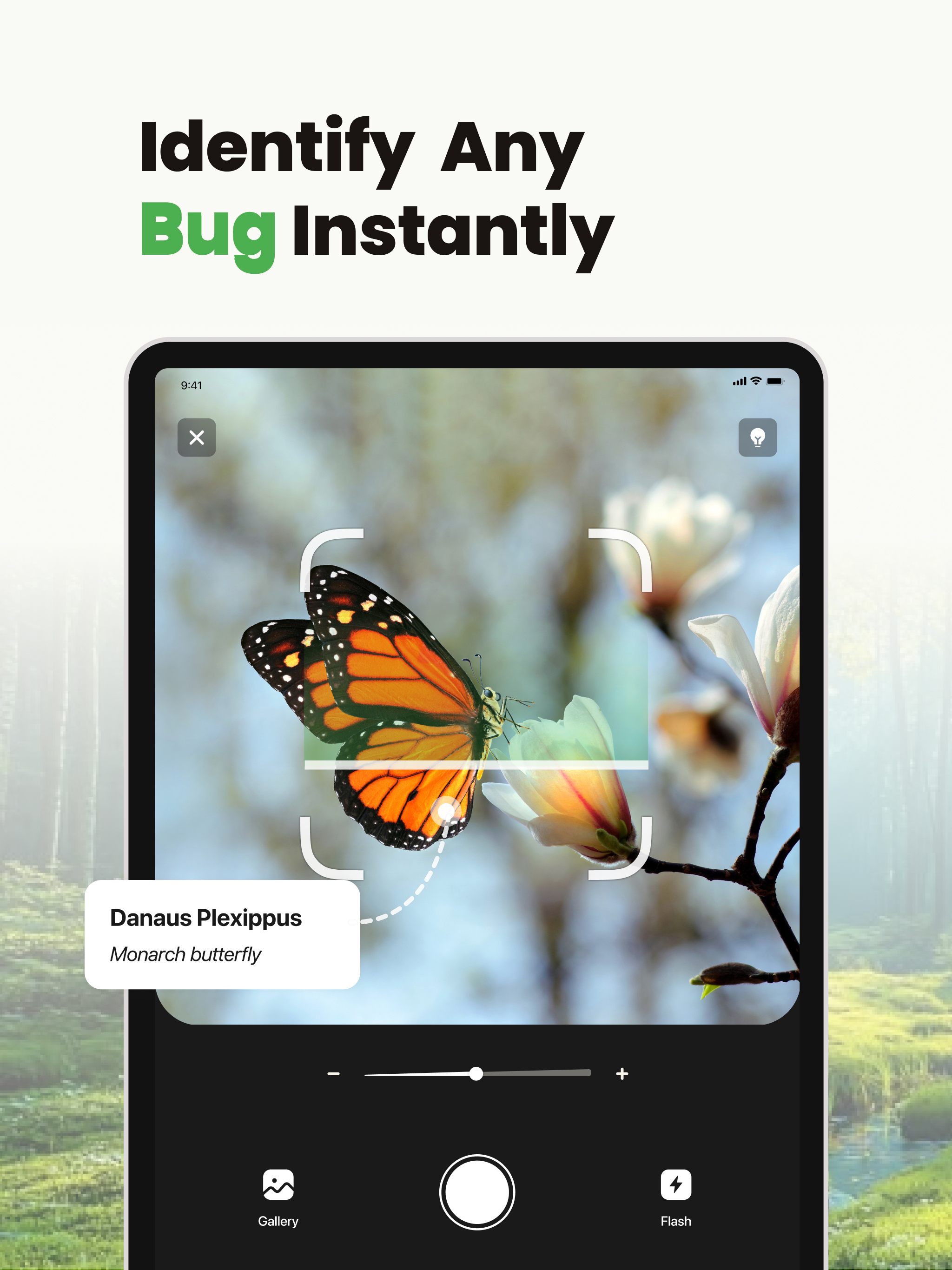 BugID: Insect & Spider ID screenshot 7