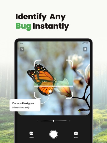 BugID: Insect & Spider ID iPad screenshot