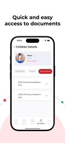 DESS Screenshot 7 of 8