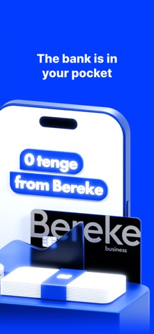 Bereke Business: Online Bank Screenshot 2 of 6