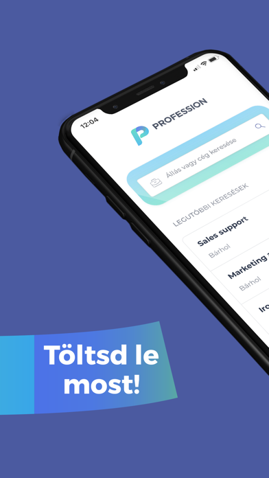 Profession.hu: Fast Job Search Screenshot
