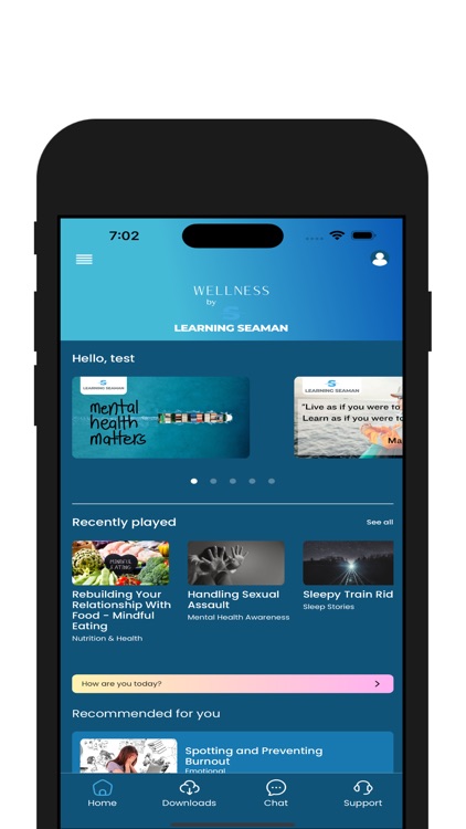 Learning Seaman for Companies