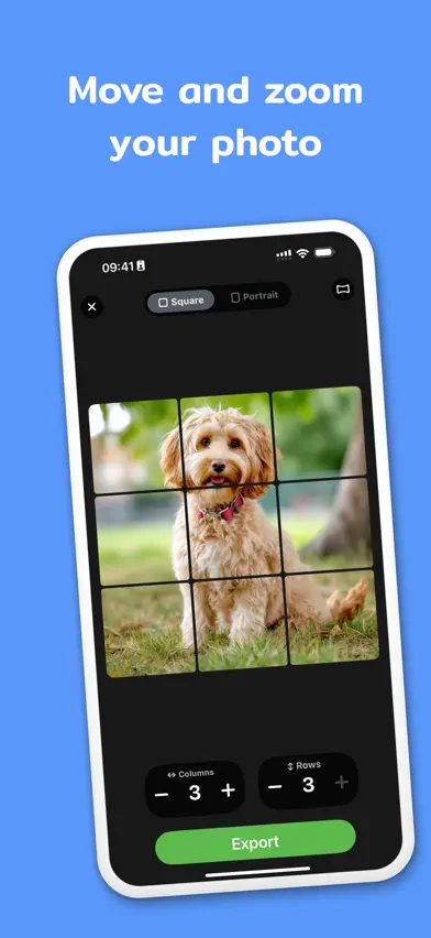 InstantGrid screenshot 2