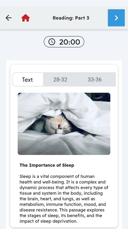 IELTS Sample Tests with AI
