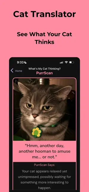 PurrScan: Cat Translator screenshot 1
