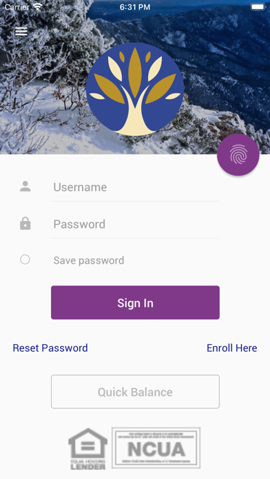 Rio Grande CU Mobile Screenshot