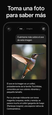 Grok - Asistente de IA App Store preview screenshot 4