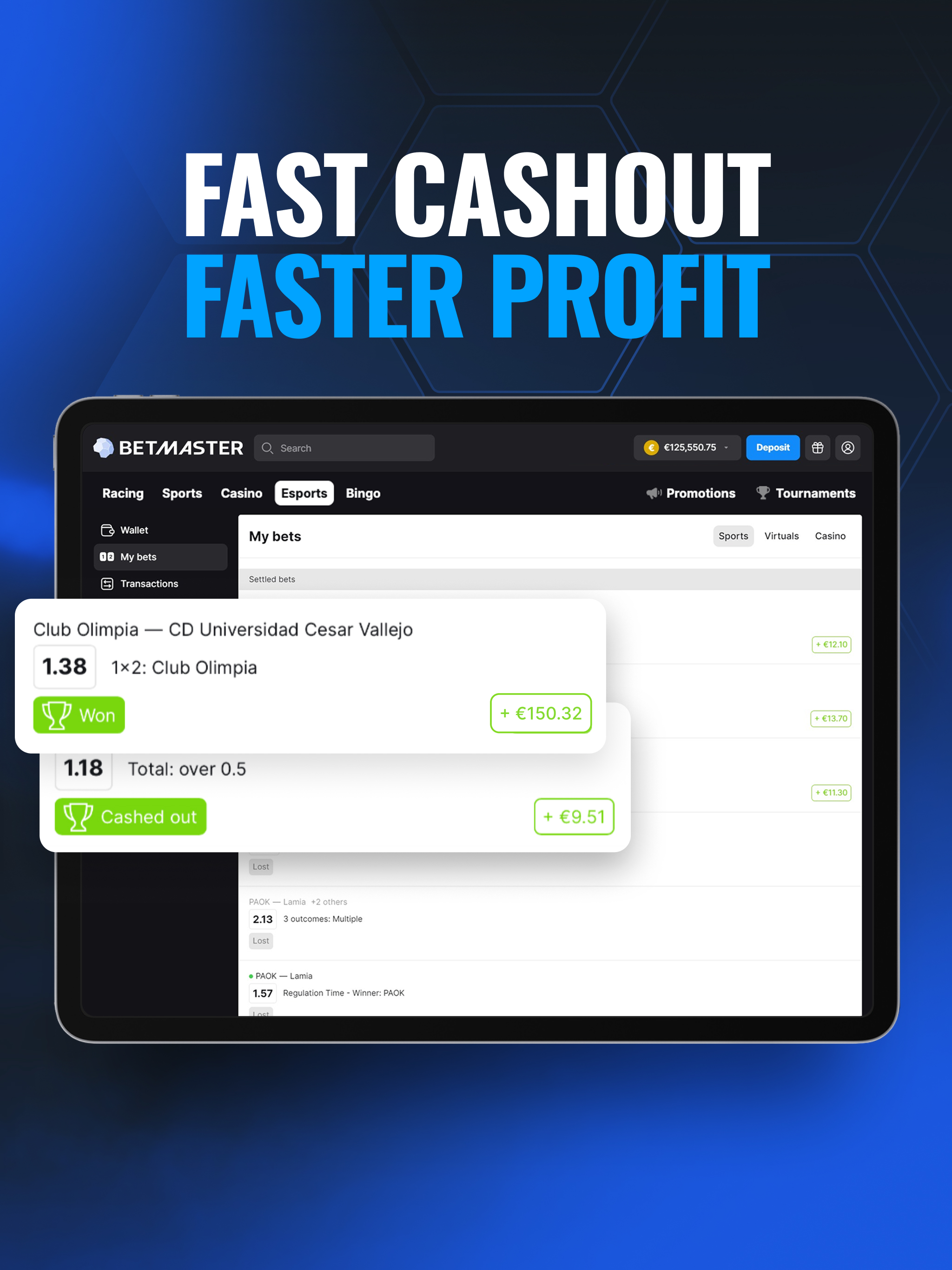 Betmaster Sports Betting screenshot 14