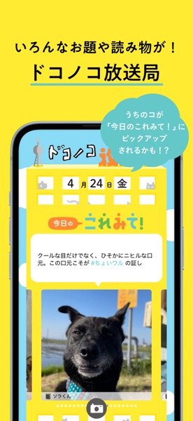 ドコノコ のスクリーンショット 5