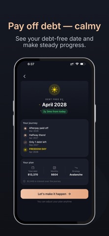 RAYN: Calm Debt Tracker screenshot